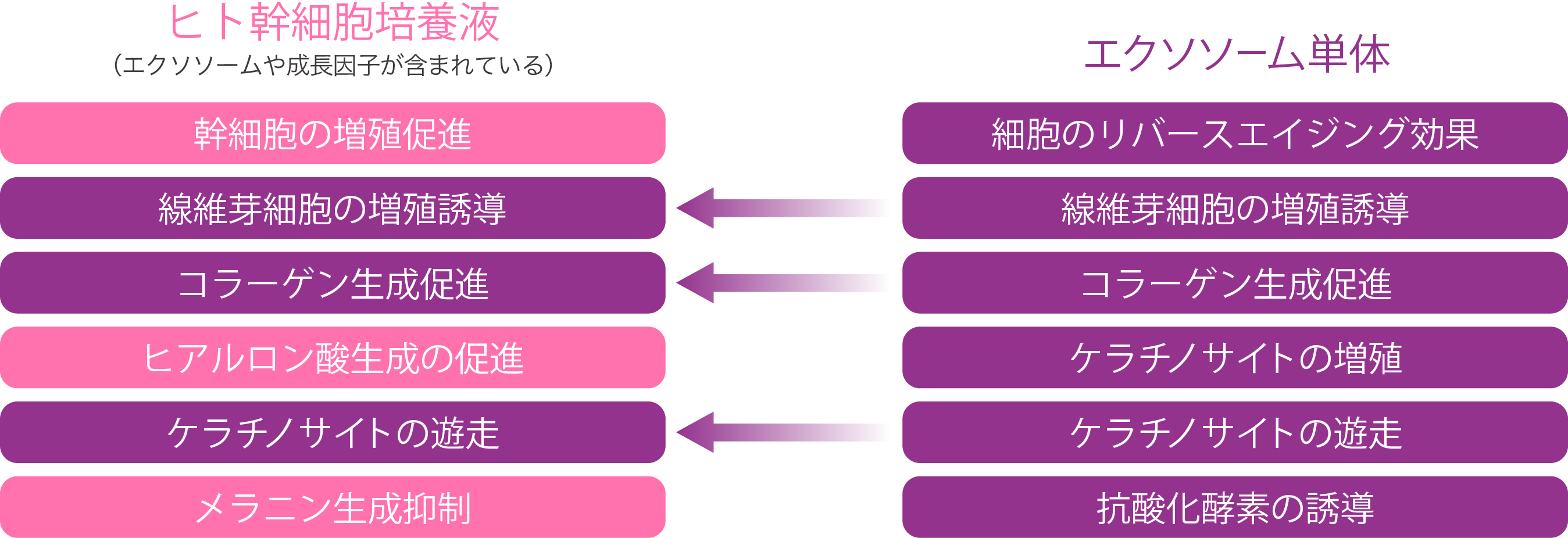 幹細胞培養液とエクソーム単体