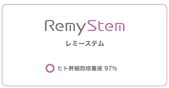 RemyStem